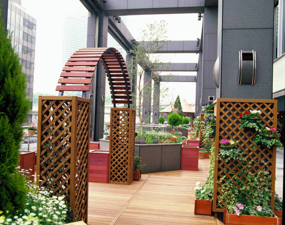 東京都港区ホテル 寄せ植え 装飾の導入事例 観葉植物のレンタル グリーンレンタル なら株式会社西花園